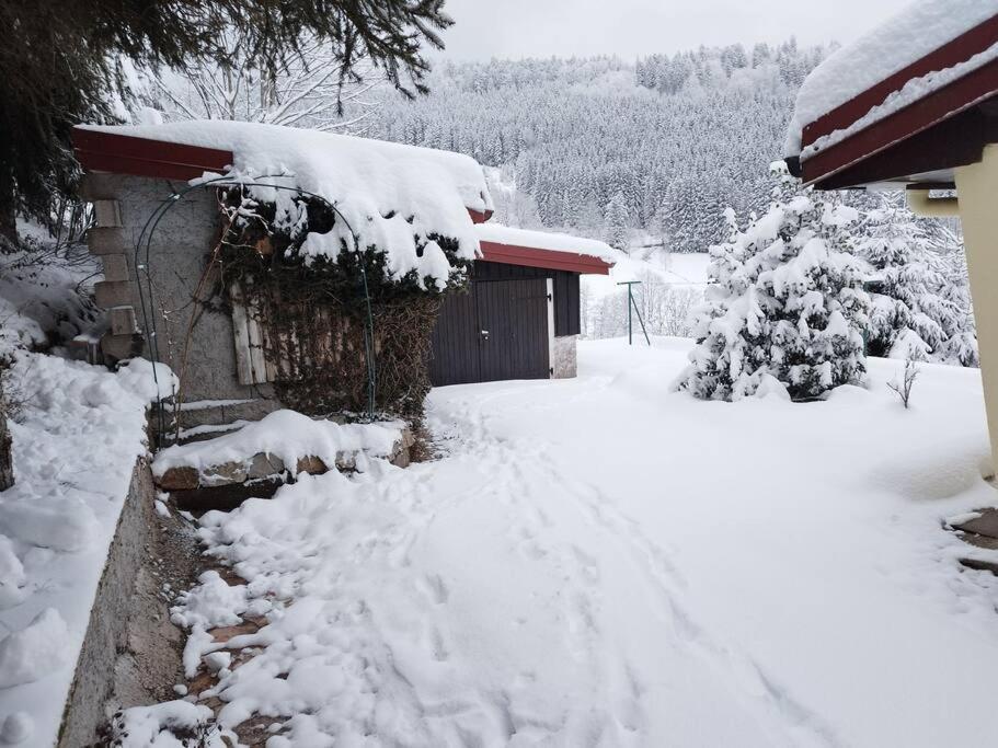 Maison De Montagne Vue Magnifique Вантрон Екстериор снимка