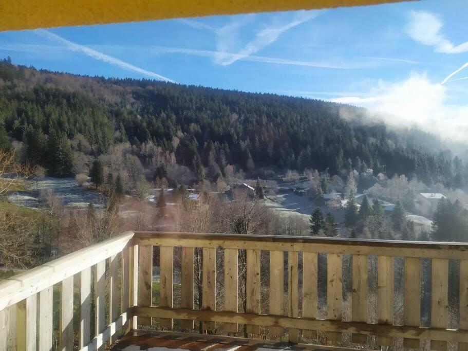 Maison De Montagne Vue Magnifique Вантрон Екстериор снимка