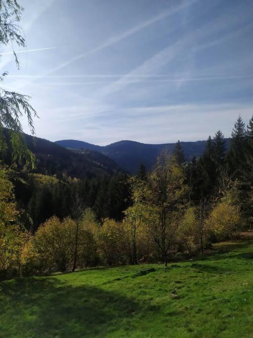 Maison De Montagne Vue Magnifique Вантрон Екстериор снимка