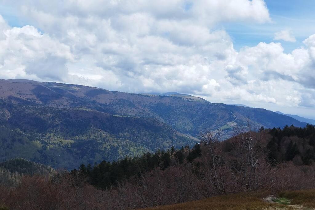 Maison De Montagne Vue Magnifique Вантрон Екстериор снимка