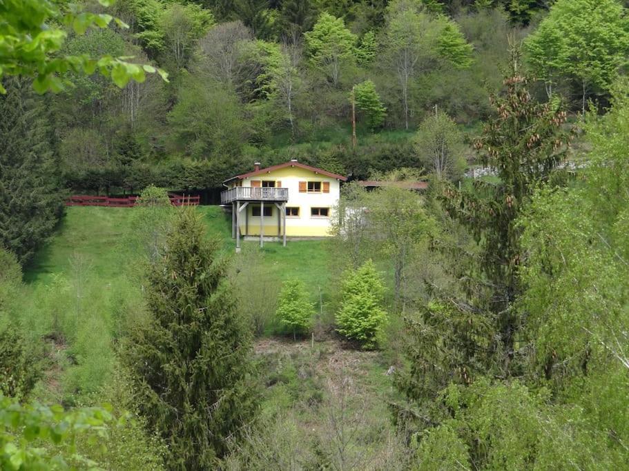 Maison De Montagne Vue Magnifique Вантрон Екстериор снимка