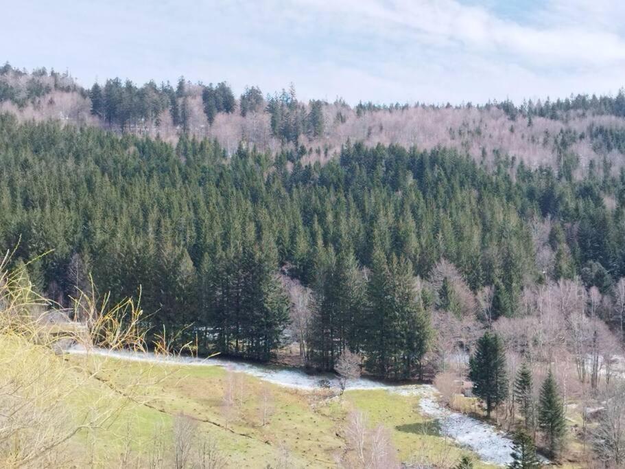 Maison De Montagne Vue Magnifique Вантрон Екстериор снимка