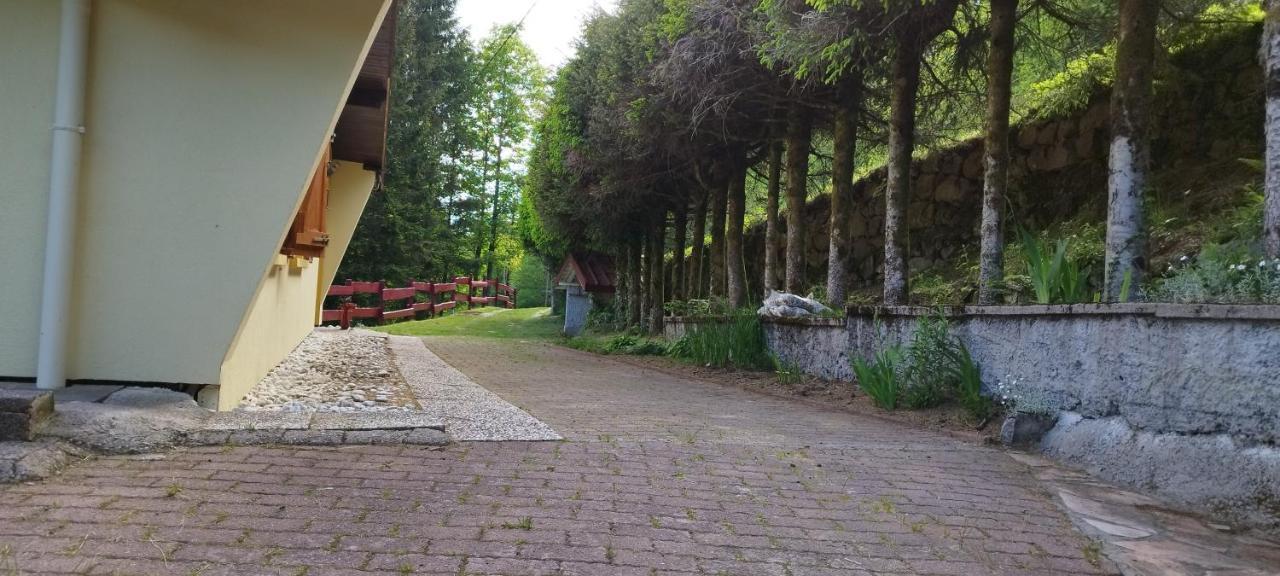 Maison De Montagne Vue Magnifique Вантрон Екстериор снимка
